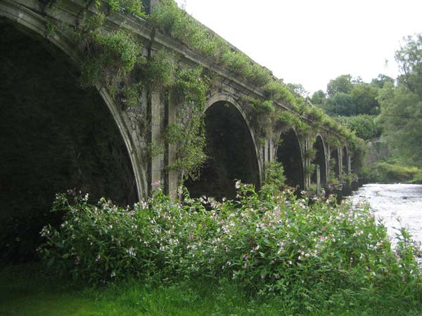 Inisioge bridge